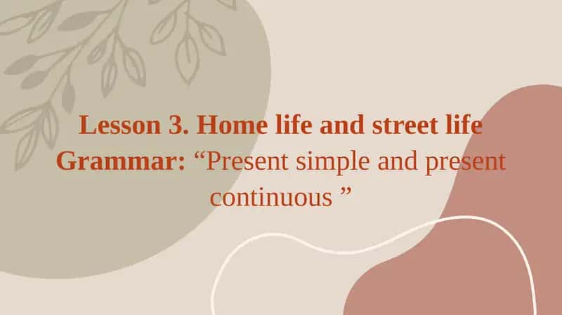 Lesson 3. Home life and street life