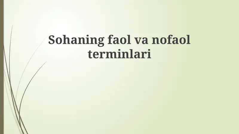 Sohaning faol va nofaol terminlari