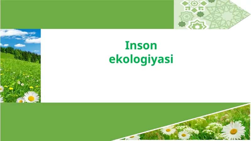 Inson ekologiyasi