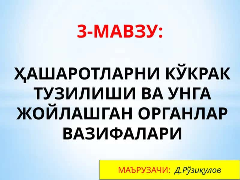 Ҳашаротларнинг кукрак тузилиши ва унга жойлашган органлар вазифалари