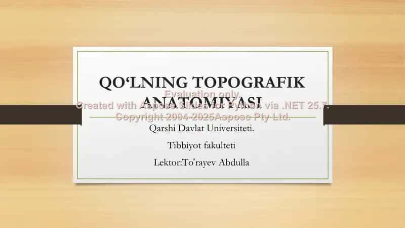 QO‘LNING TOPOGRAFIK ANATOMIYASI