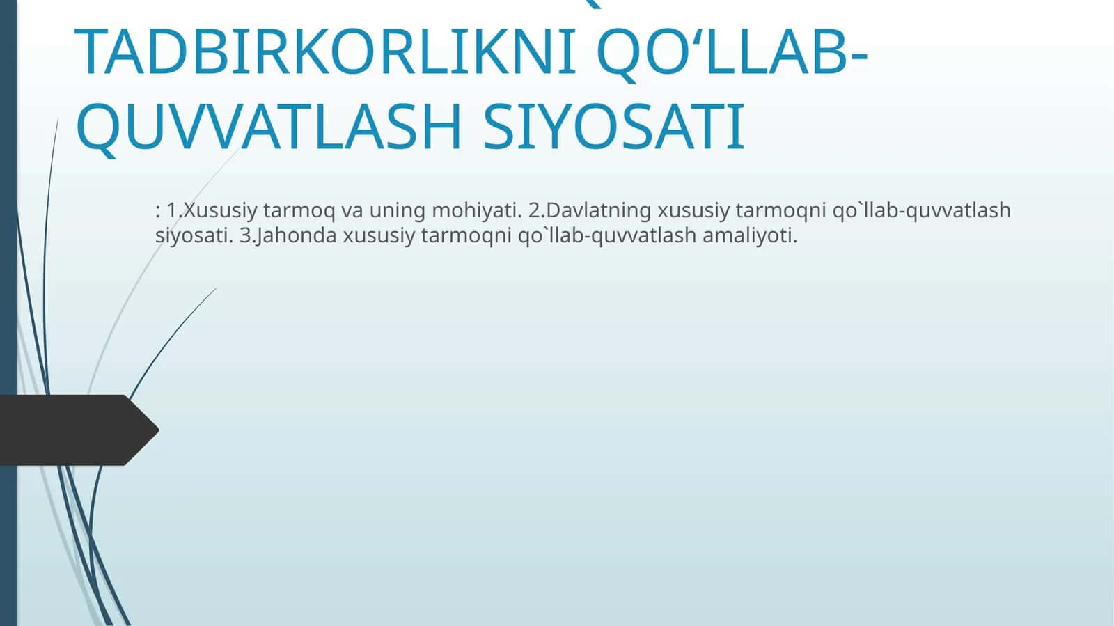 Davlatning iqtisodiyotda xususiy tarmoq va tadbirkorlikni qo‘llab-quvvatlash siyosati