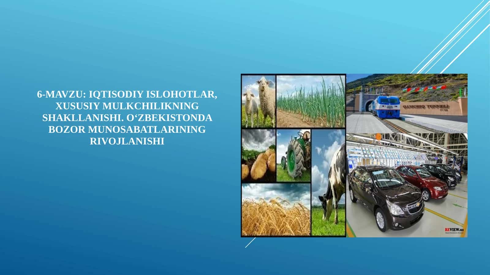 IQTISODIY ISLOHOTLAR, XUSUSIY MULKCHILIKNING SHAKLLANISHI. O‘ZBEKISTONDA BOZOR MUNOSABATLARINING RIVOJLANISHI