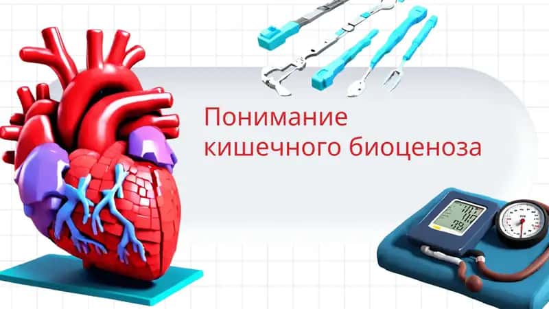 понимание кишечного биоценоза