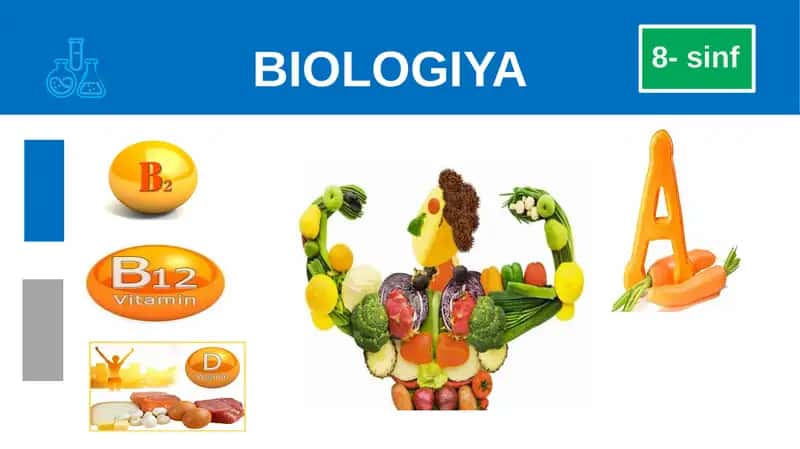 vitaminlar va ularning ahamiyati