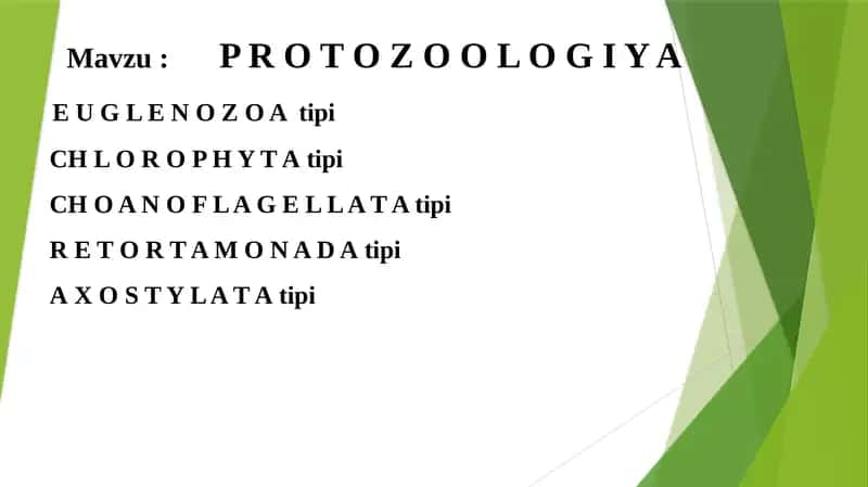 P R O T O Z OOL O G I Y A