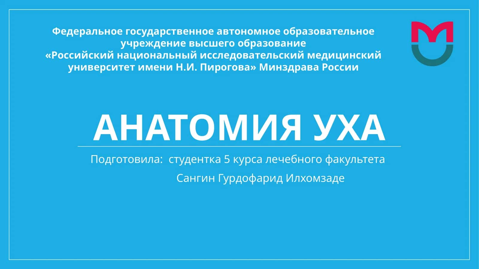 Анатомия уха