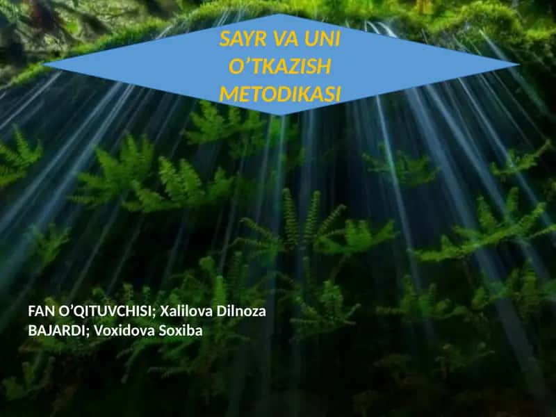 SAYR VA UNI O’TKAZISH METODIKASI