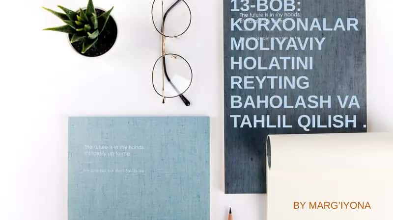 KORXONALAR MOLIYAVIY HOLATINI REYTINGBAHOLASH VA TAHLIL QILISH
