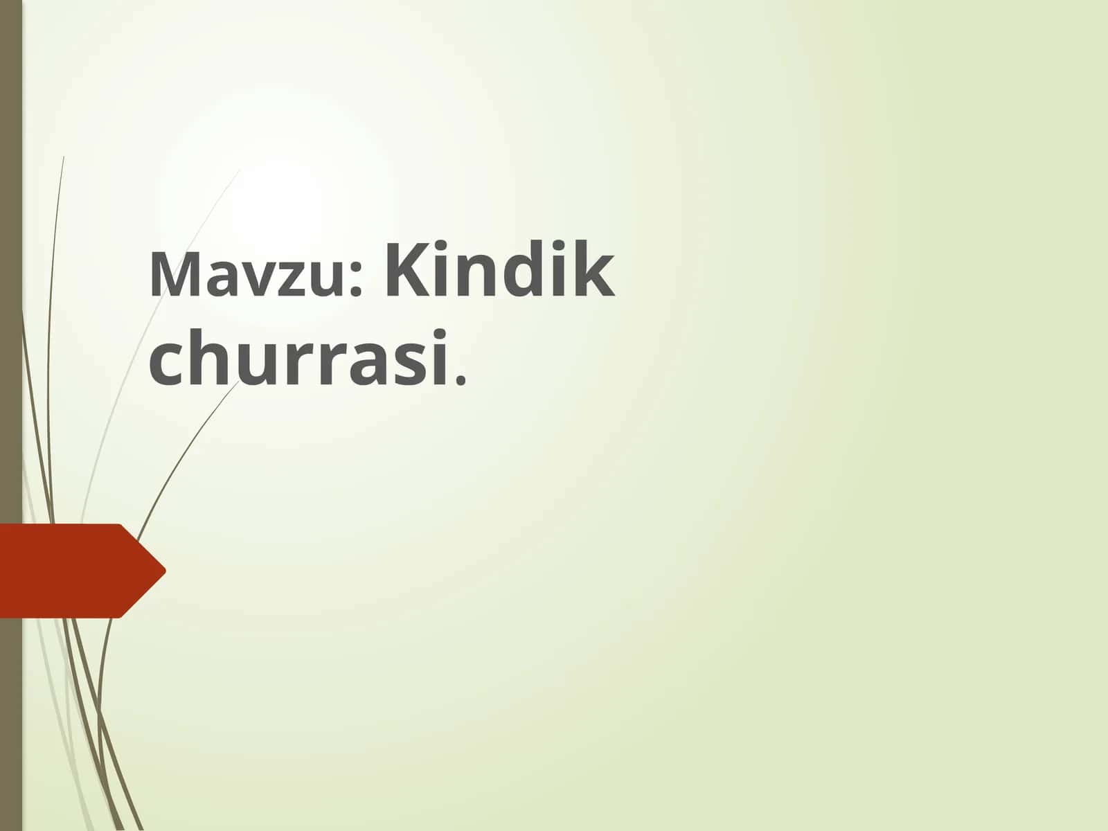 Kindik churrasi
