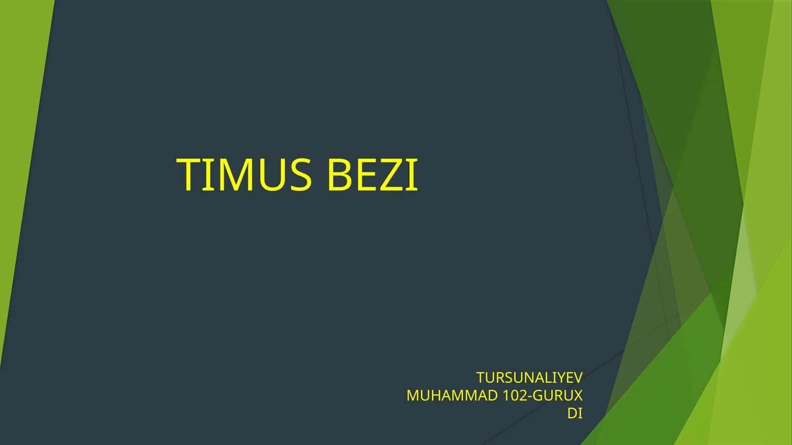 TIMUS BEZI ayrisimon bez