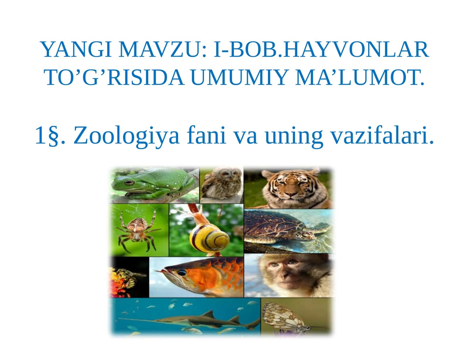 BOB.HAYVONLAR TO’G’RISIDA UMUMIY MA’LUMOT