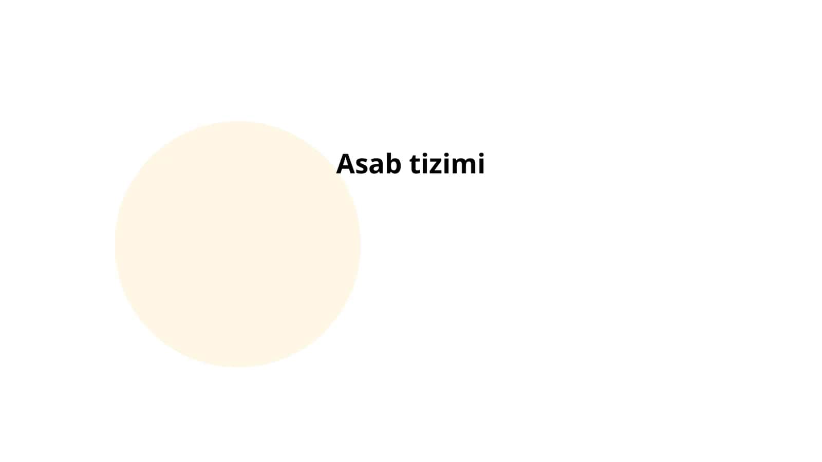 Asab tizimi
