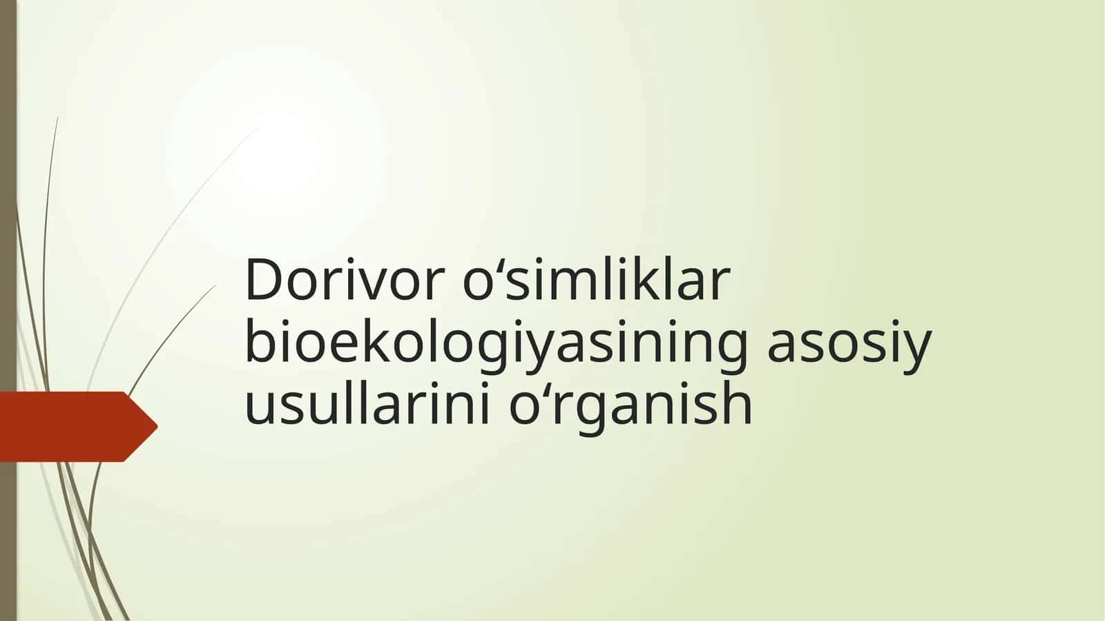 Dorivor o‘simliklar bioekologiyasining asosiy usullarini o‘rganish