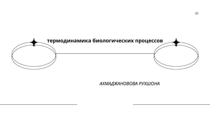 термодинамика биологических процессов