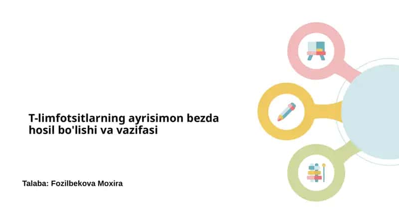 T-limfotsitlarning ayrisimon bezda hosil bo'lishi va vazifasi