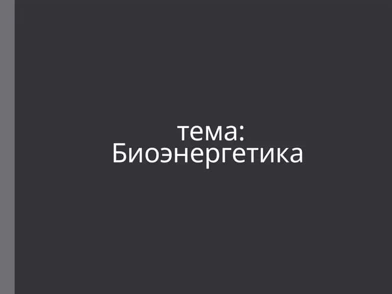 Биоэнергетика