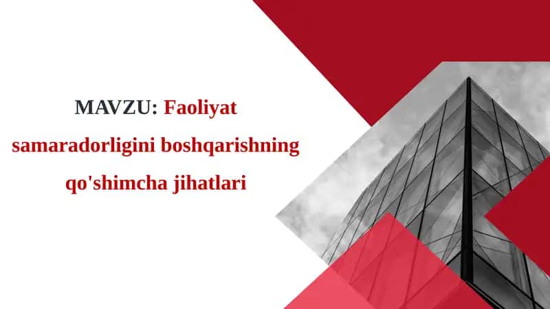 Faoliyatsamaradorligini boshqarishning qo'shimcha jihatlari