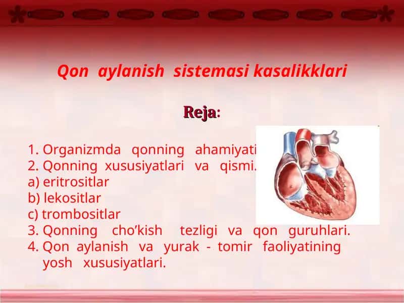 qon aylanish tizimi kasalliklari