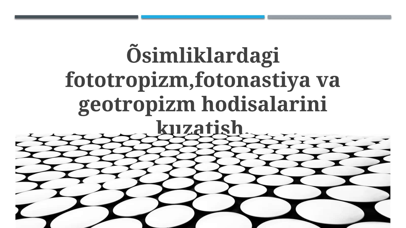 Fototropizm, Fotonastiya va Geotropizm: Ta'riflar va Mexanizmlar