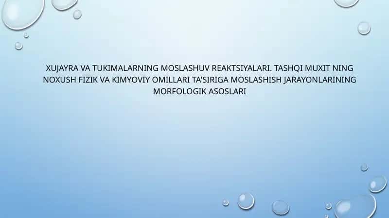 Tukimning moslashuvi