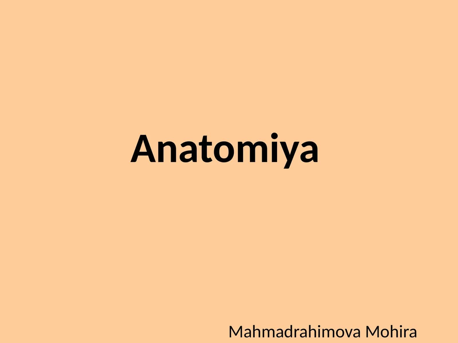 Anatomiya