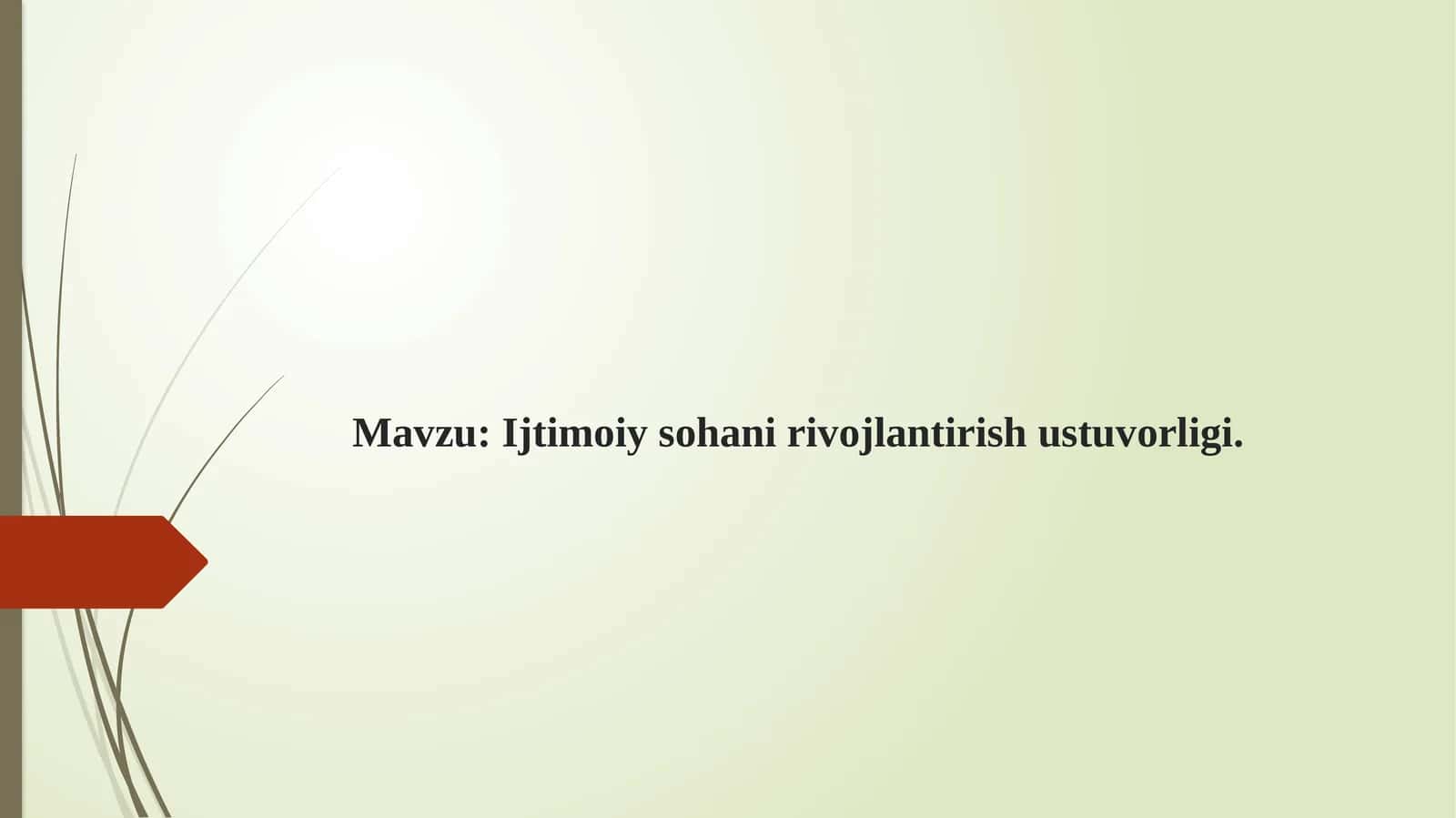 Ijtimoiy sohani rivojlantirish ustuvorligi