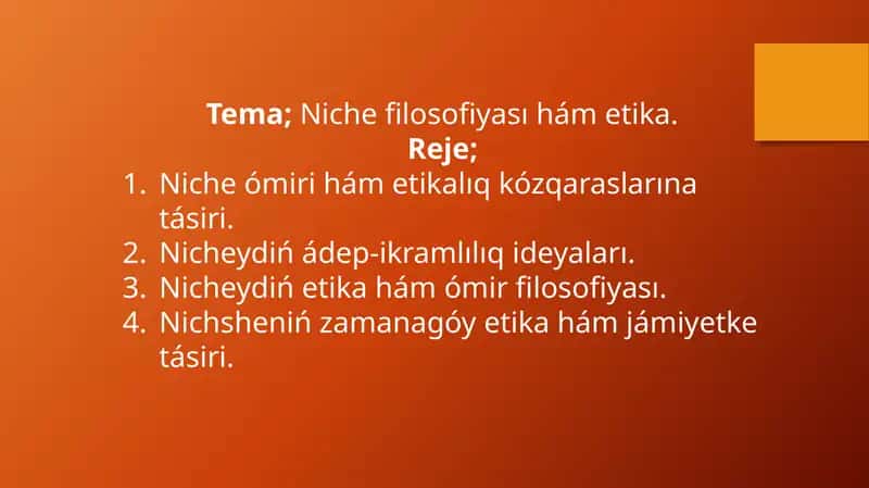 Fridrix Niche filosofiyası