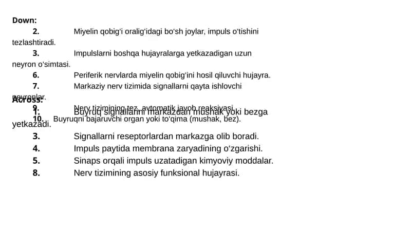 Nerv tizimi
