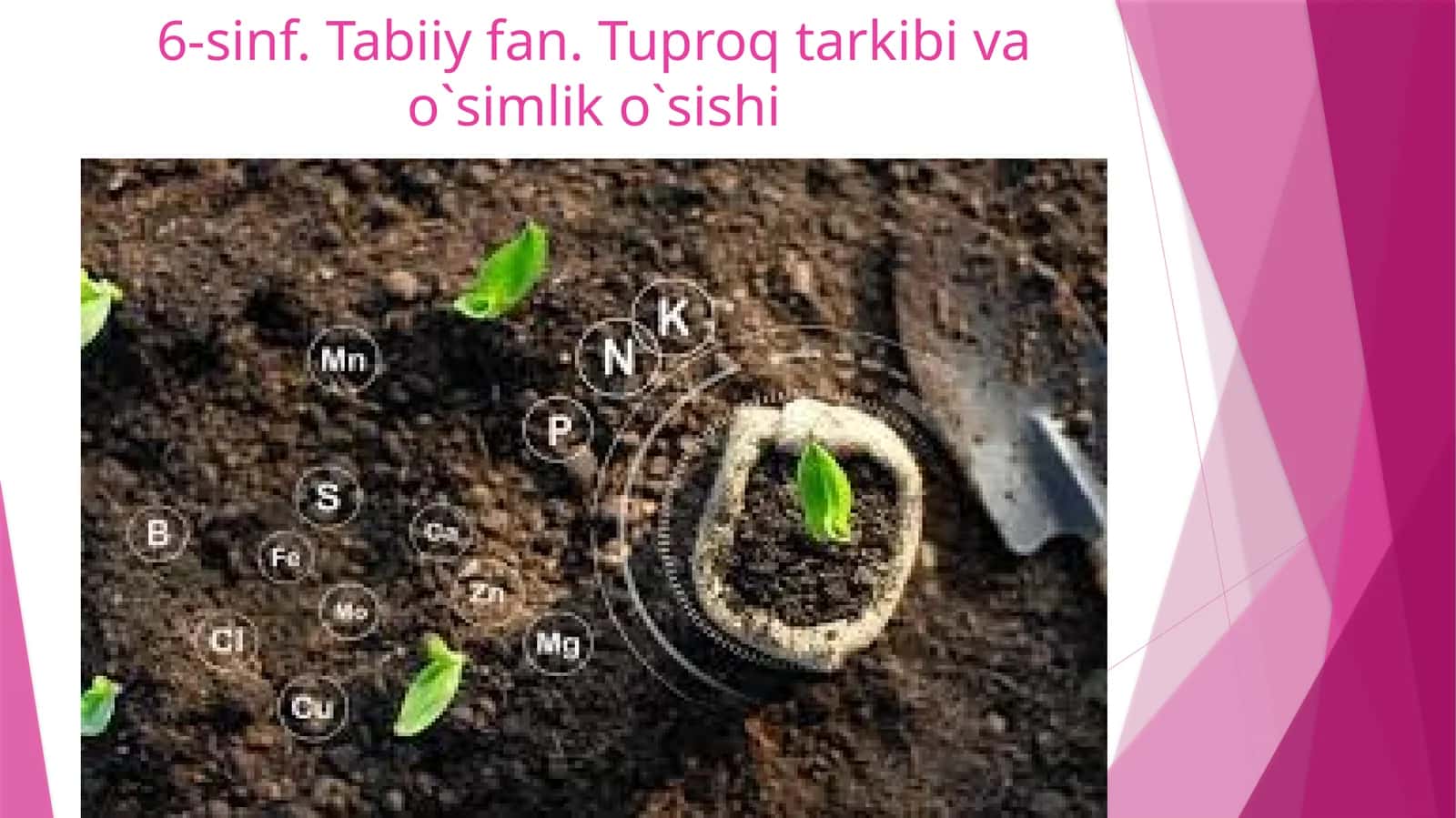 6-sinf.Tabiiyfan.Tuproqtarkibivao`simliko`sishi