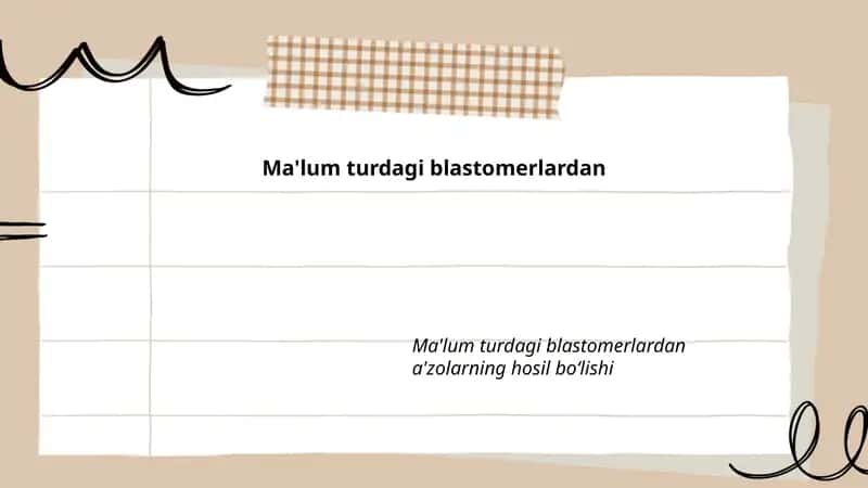 Blastomeralar Differensiasiyasi
