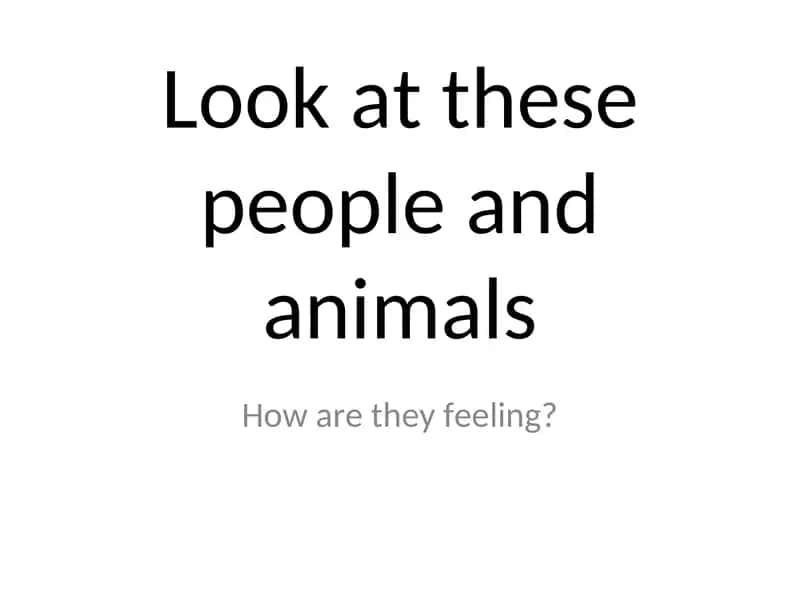 Mavzu: Look at these people and animals