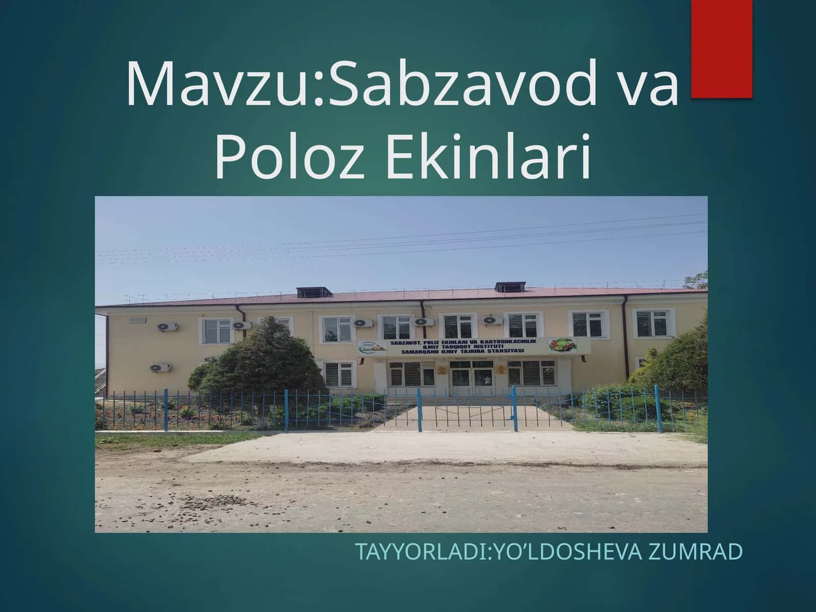 Sabzavod va Poliz Ekinlari