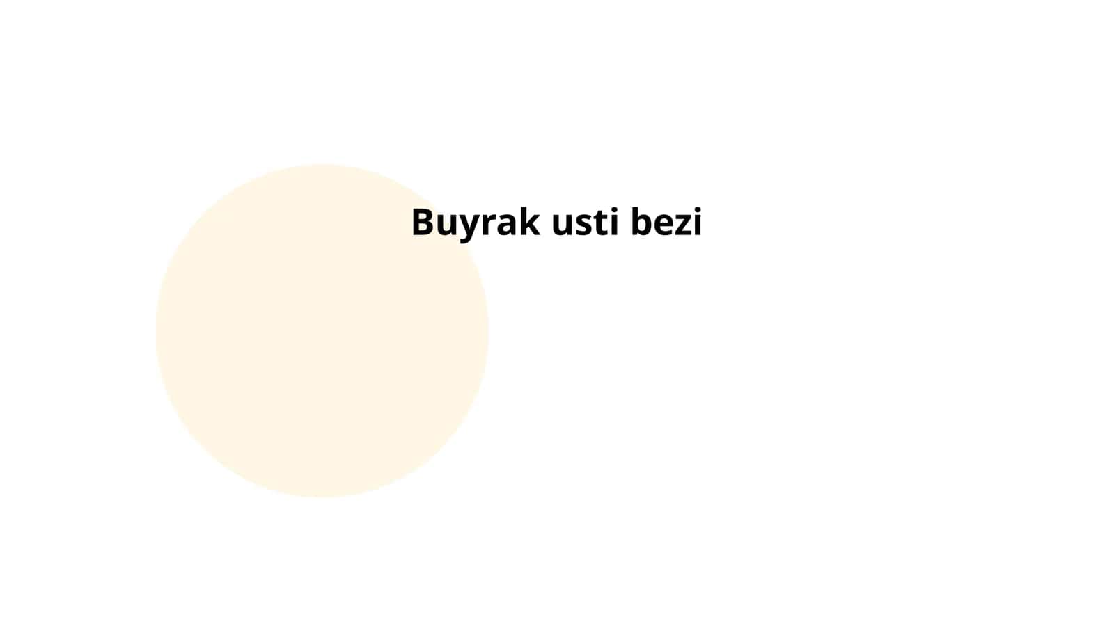Buyrak usti bezi