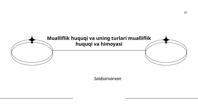 Mualliflik huquqi va uning turlari mualliflik huquqi va himoyasi