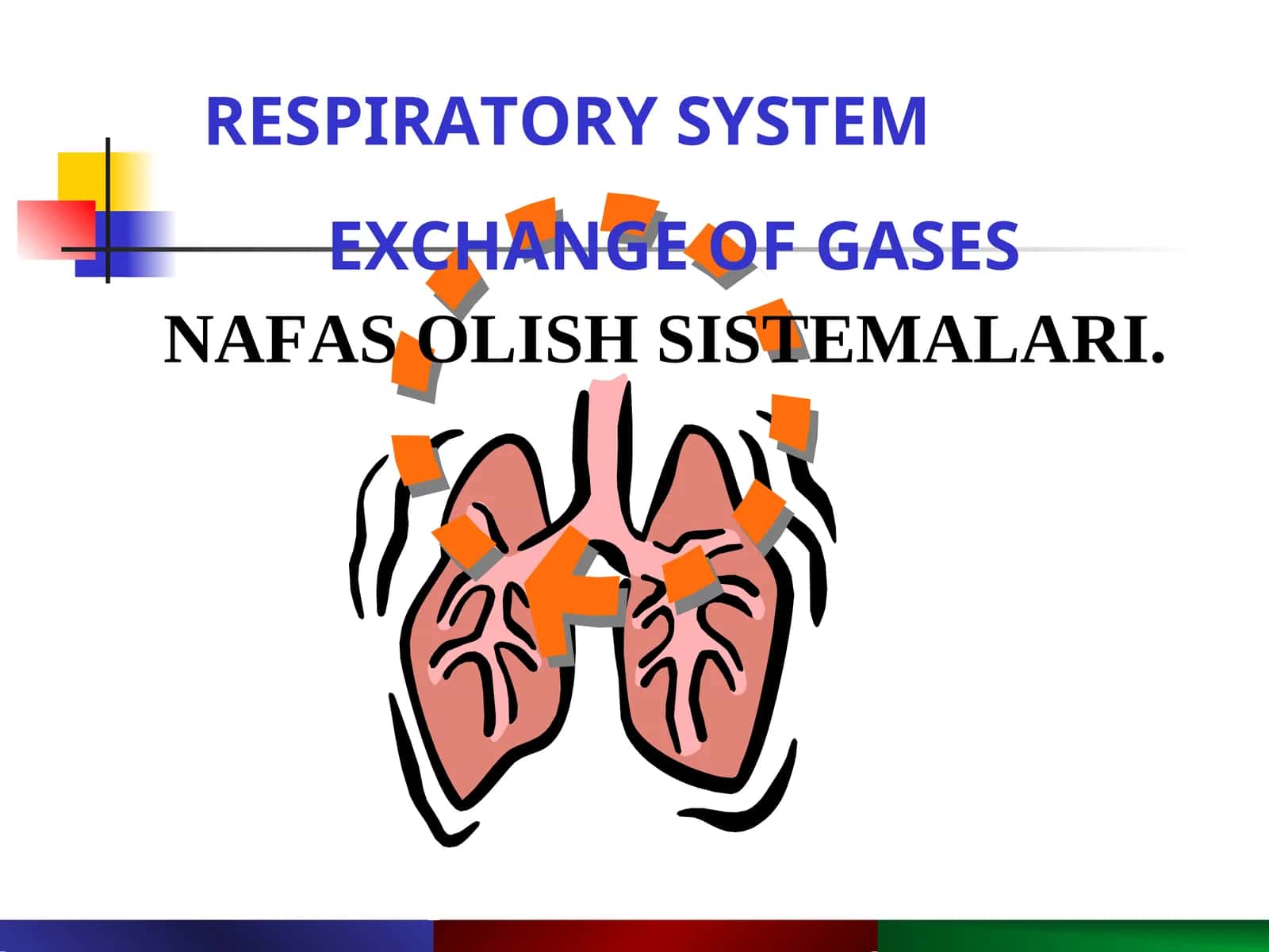 NAFAS OLISH SISTEMALARI