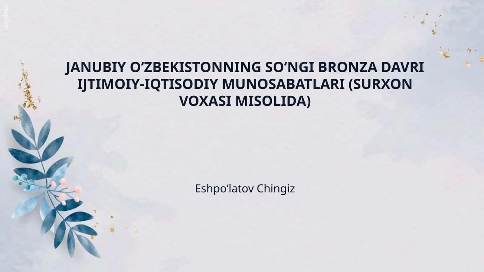 JANUBIY OʻZBEKISTONNING SOʻNGI BRONZA DAVRI IJTIMOIY-IQTISODIY MUNOSABATLARI (SURXON VOXASI MISOLIDA)