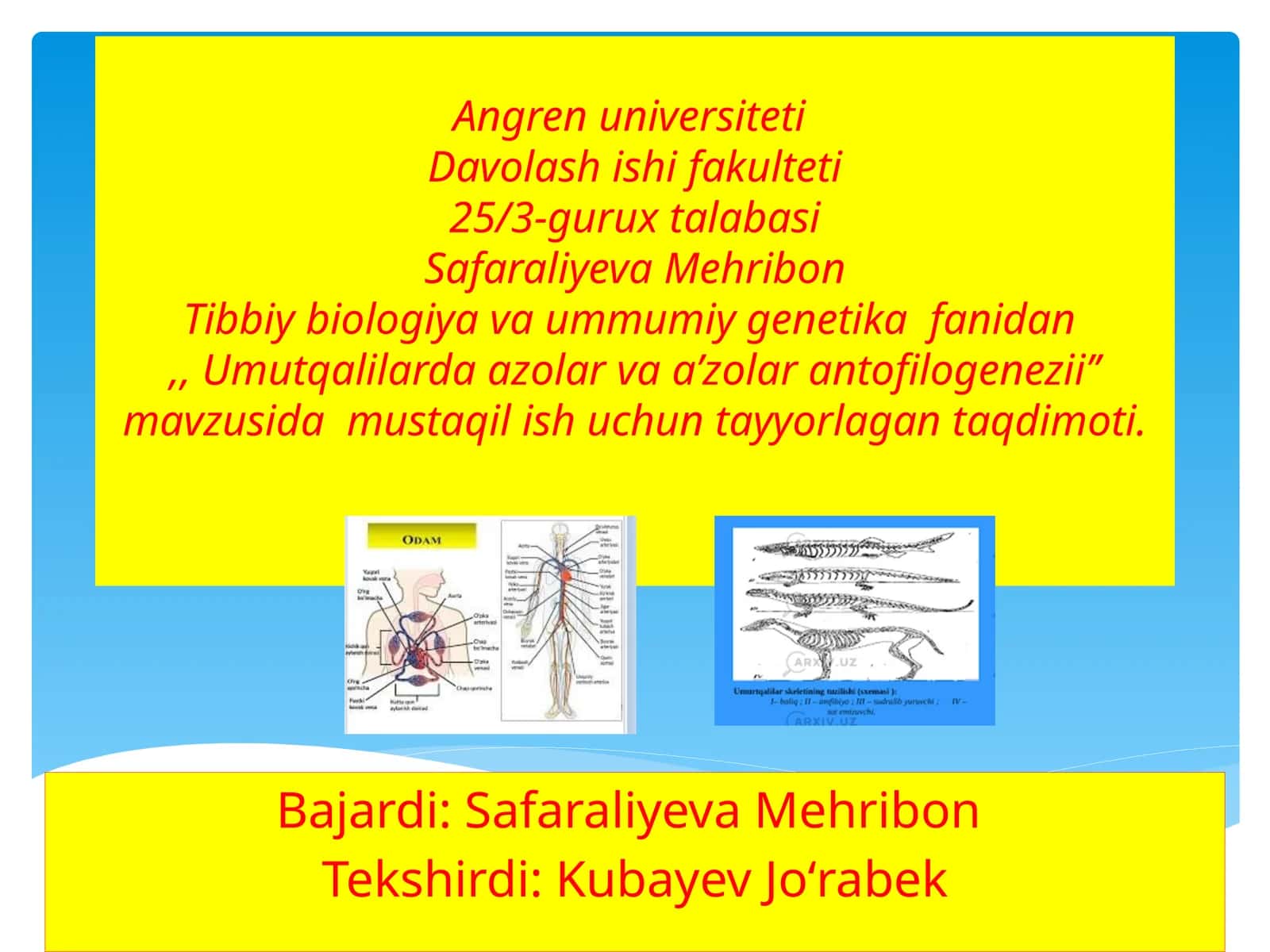 Umutqalilarda azolar va a’zolar antofilogenezii
