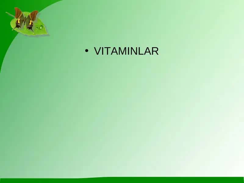 vitaminlar