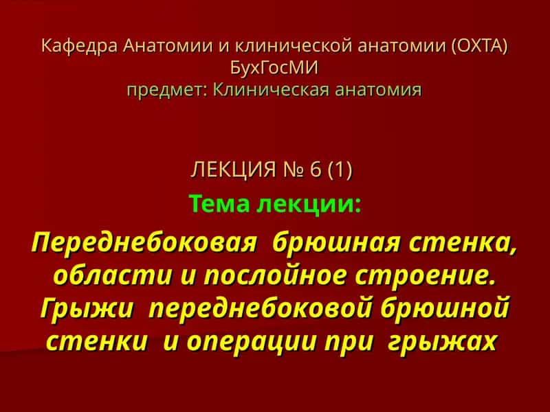 Лекция № 6 - Клиническая анатомия