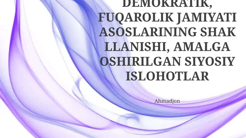 Oʻzbekistonda Demokratik, Fuqarolik Jamiyati Asoslarining Shakllanishi, Amalga Oshirilgan Siyosiy Islohotlar
