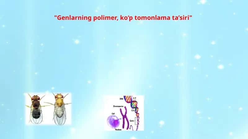 Genlarning polimeter ta'siri