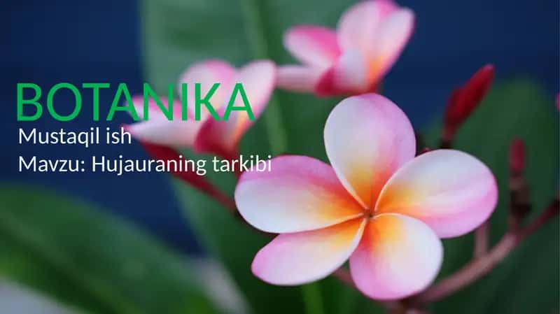 BOTANIKA