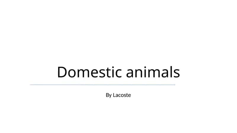 Domestic animals