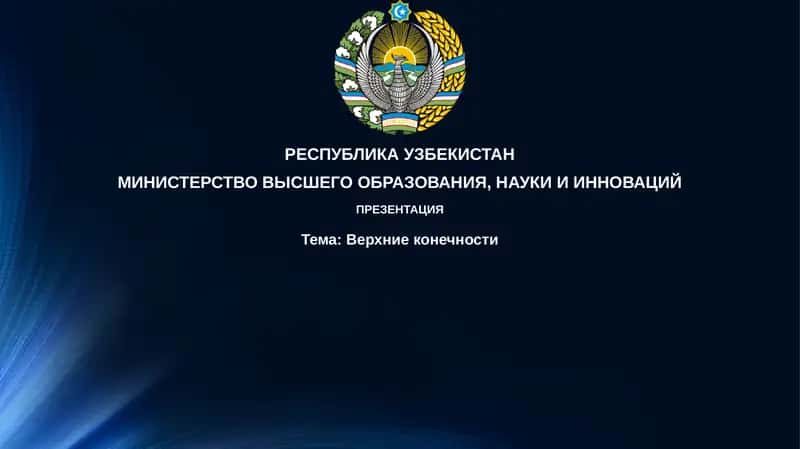 Верхниеконечности
