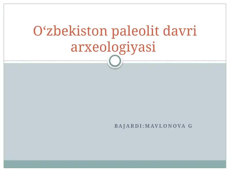 Oʻzbekiston paleolit davri arxeologiyasi