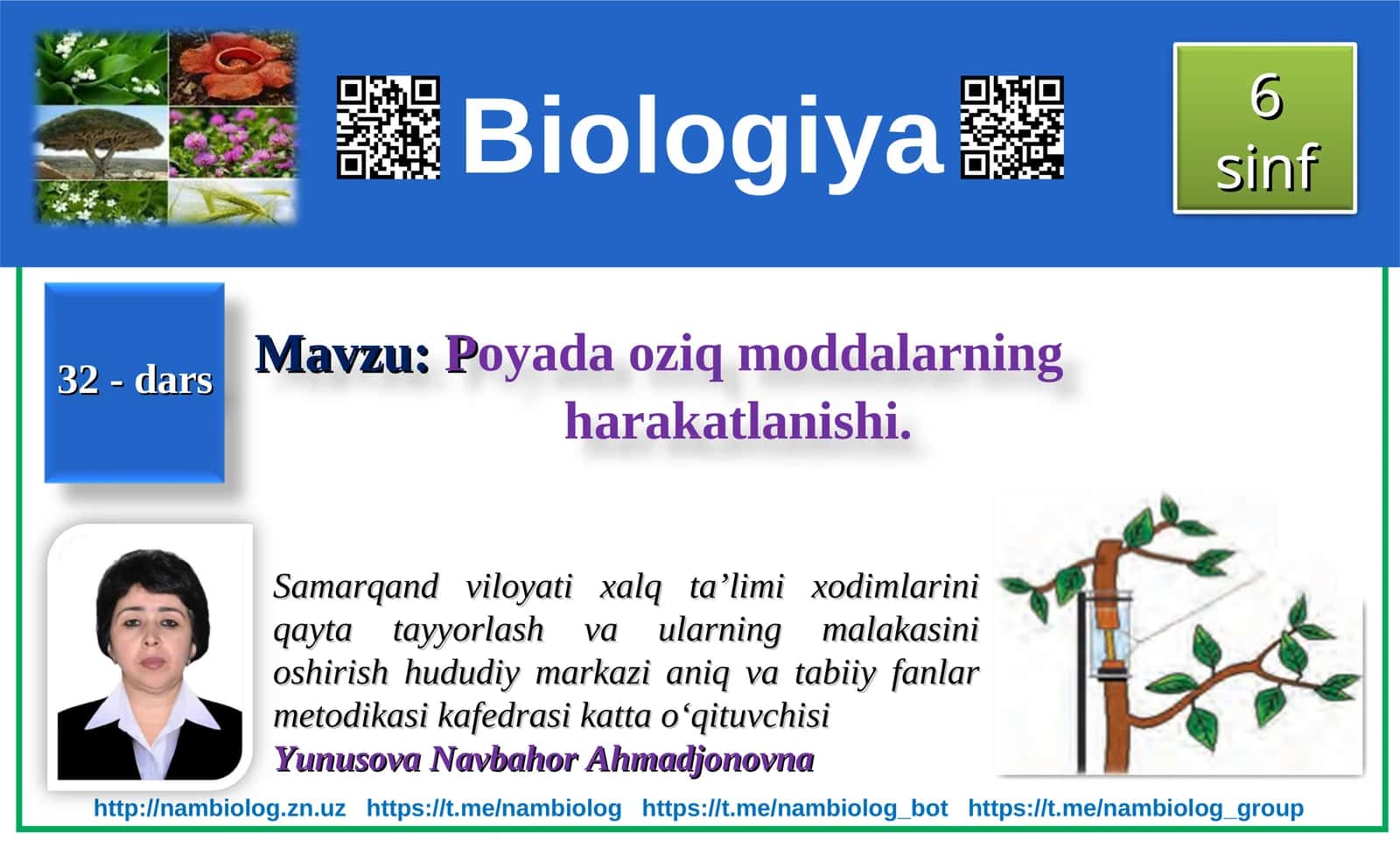 Poyada oziq moddalarning harakatlanishi