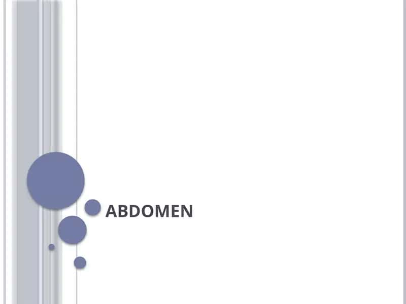 Abdomen