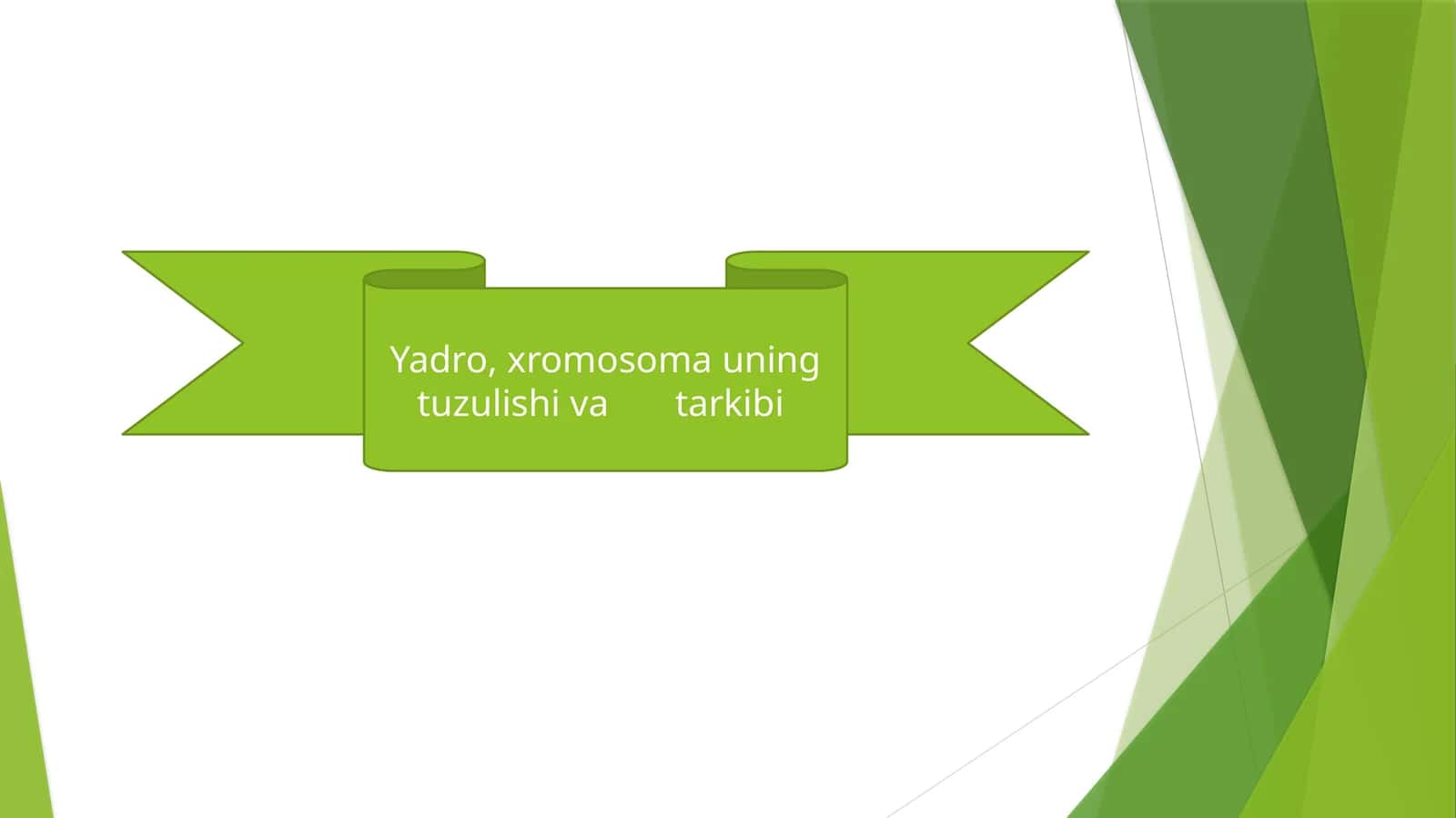 Yadro, xromosomaning tuzilishi va tarkibi