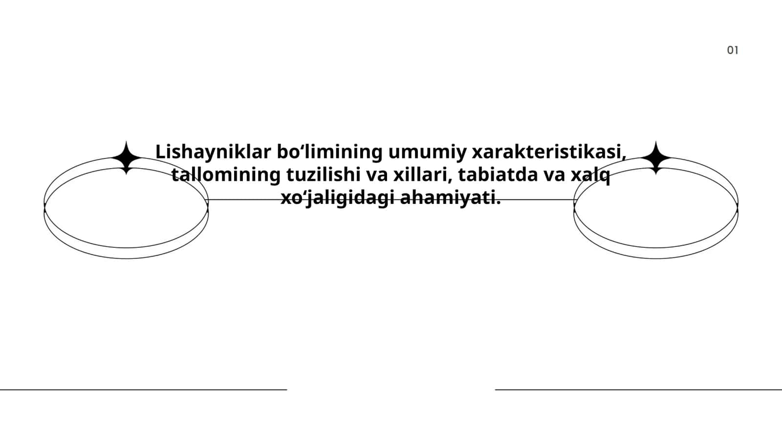 Lishayniklar bo‘limining umumiy xarakteristikasi